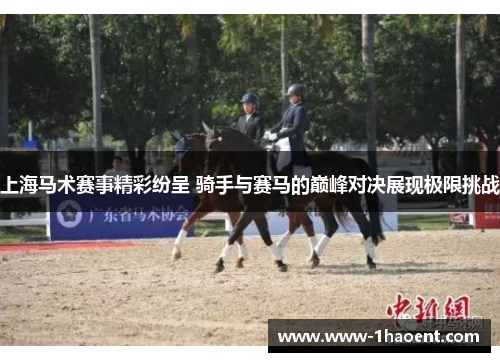 上海马术赛事精彩纷呈 骑手与赛马的巅峰对决展现极限挑战