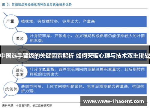 中国选手晋级的关键因素解析 如何突破心理与技术双重挑战