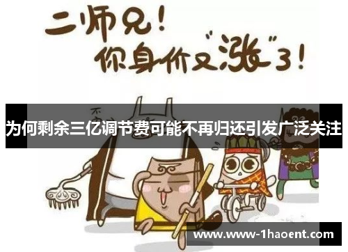 为何剩余三亿调节费可能不再归还引发广泛关注
