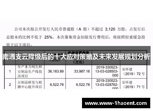 南通支云降级后的十大应对策略及未来发展规划分析