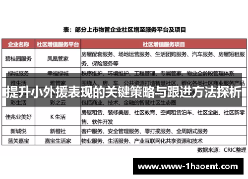 提升小外援表现的关键策略与跟进方法探析
