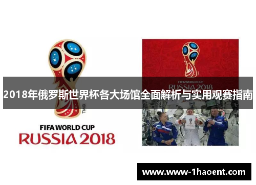 2018年俄罗斯世界杯各大场馆全面解析与实用观赛指南
