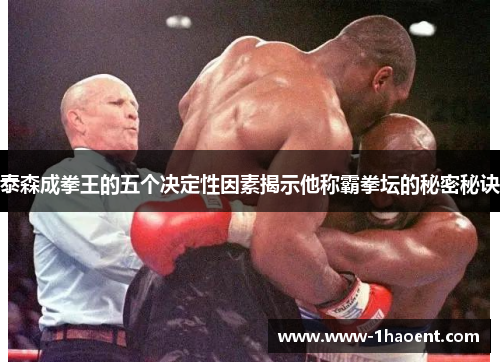 泰森成拳王的五个决定性因素揭示他称霸拳坛的秘密秘诀
