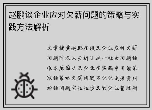 赵鹏谈企业应对欠薪问题的策略与实践方法解析