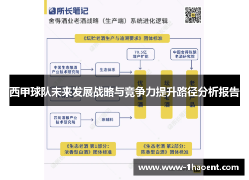 西甲球队未来发展战略与竞争力提升路径分析报告