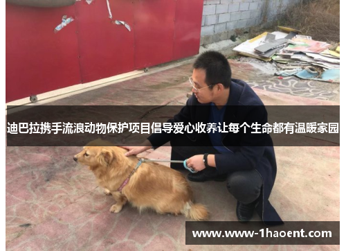 迪巴拉携手流浪动物保护项目倡导爱心收养让每个生命都有温暖家园 迪巴拉携手流浪动物保护项目倡导爱心收养让每个生命都有温暖家园