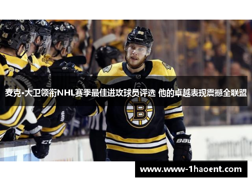 麦克·大卫领衔NHL赛季最佳进攻球员评选 他的卓越表现震撼全联盟