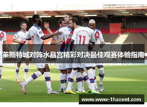 莱斯特城对阵水晶宫精彩对决最佳观赛体验指南