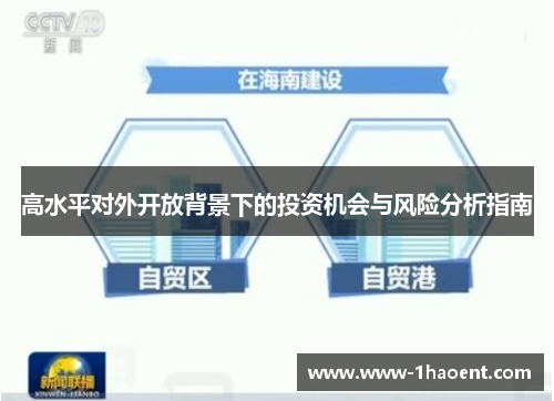 高水平对外开放背景下的投资机会与风险分析指南 高水平对外开放背景下的投资机会与风险分析指南
